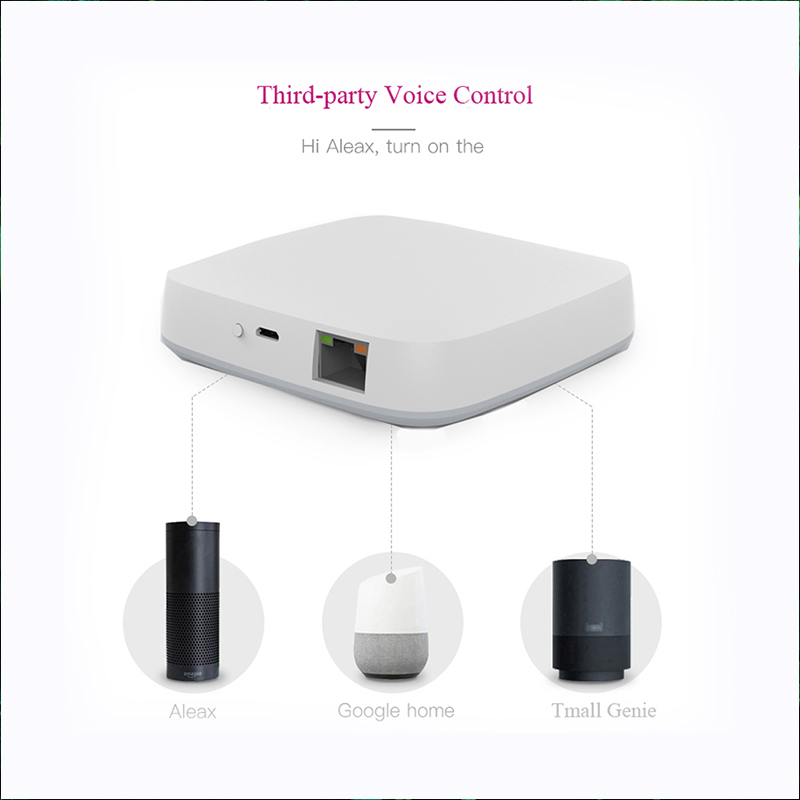 Voice Wired Smart Zigbee Gateway