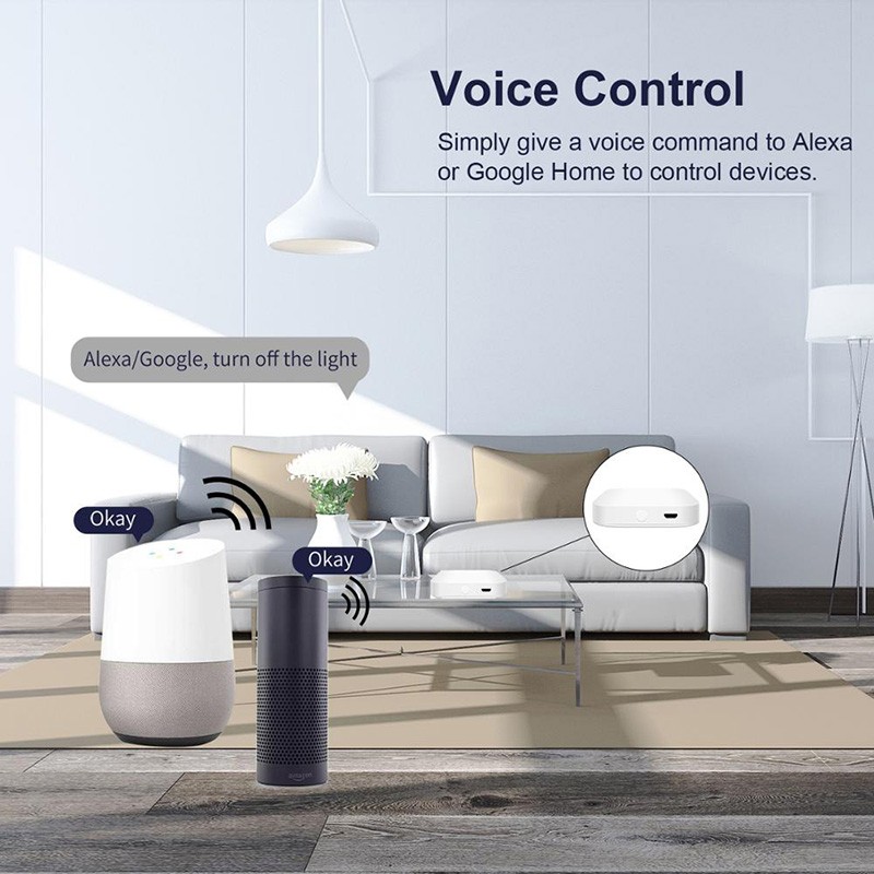 Alexa Smart Tuya Zigbee Gateway