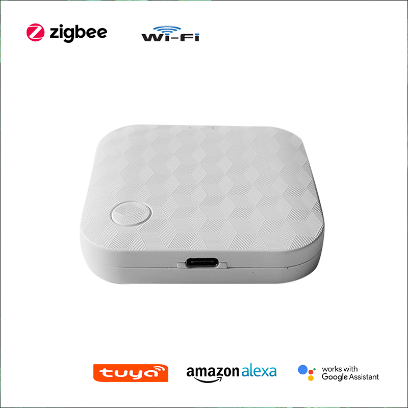 Voice Wireless Zigbee WiFi Gateway