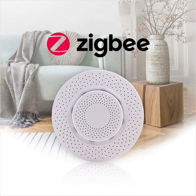 CO Gas Detector With Alarm