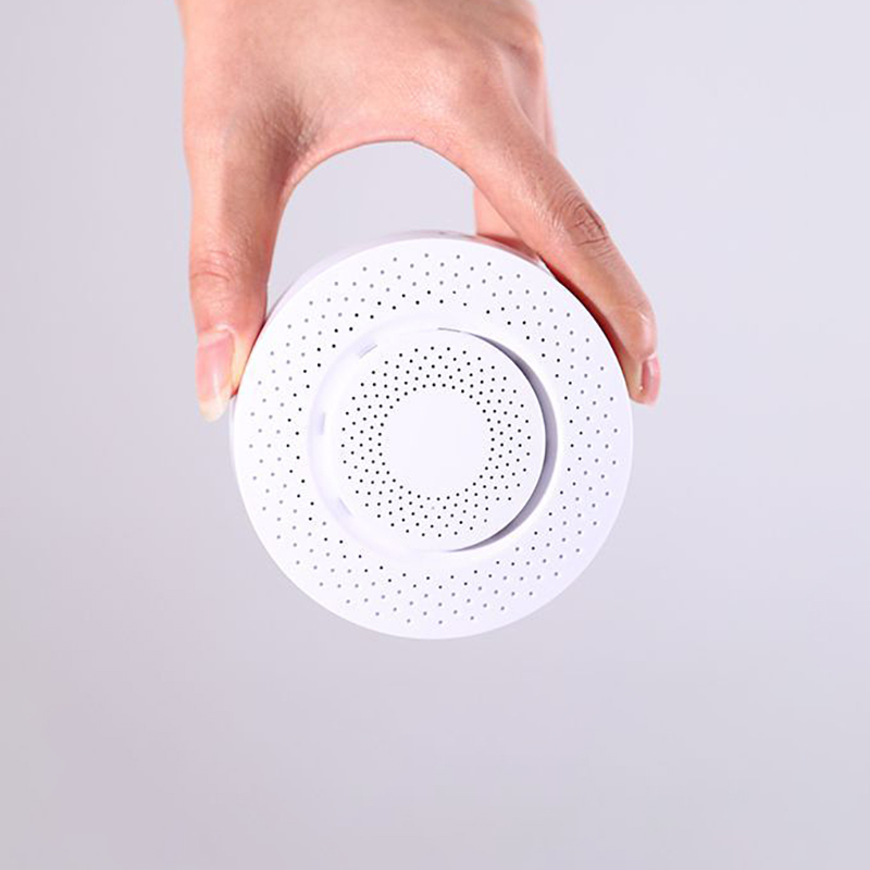Carbon Monoxide Alarm Detector